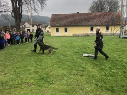 beseda s policii trochu jinak a k tomu navic prace policejnich psovodu 19